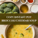 Instant Pot Broccoli Cheddar Soup Recipe