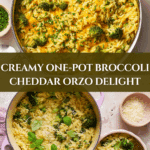 Creamy One-Pot Broccoli Cheddar Orzo Recipe
