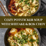 Potsticker Soup Recipe