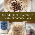 Homemade Instant Oatmeal Mix Recipe