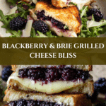 Blackberry balsamic and brie grilled cheese Recipe