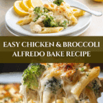 Chicken and Broccoli Alfredo Bake Recipe